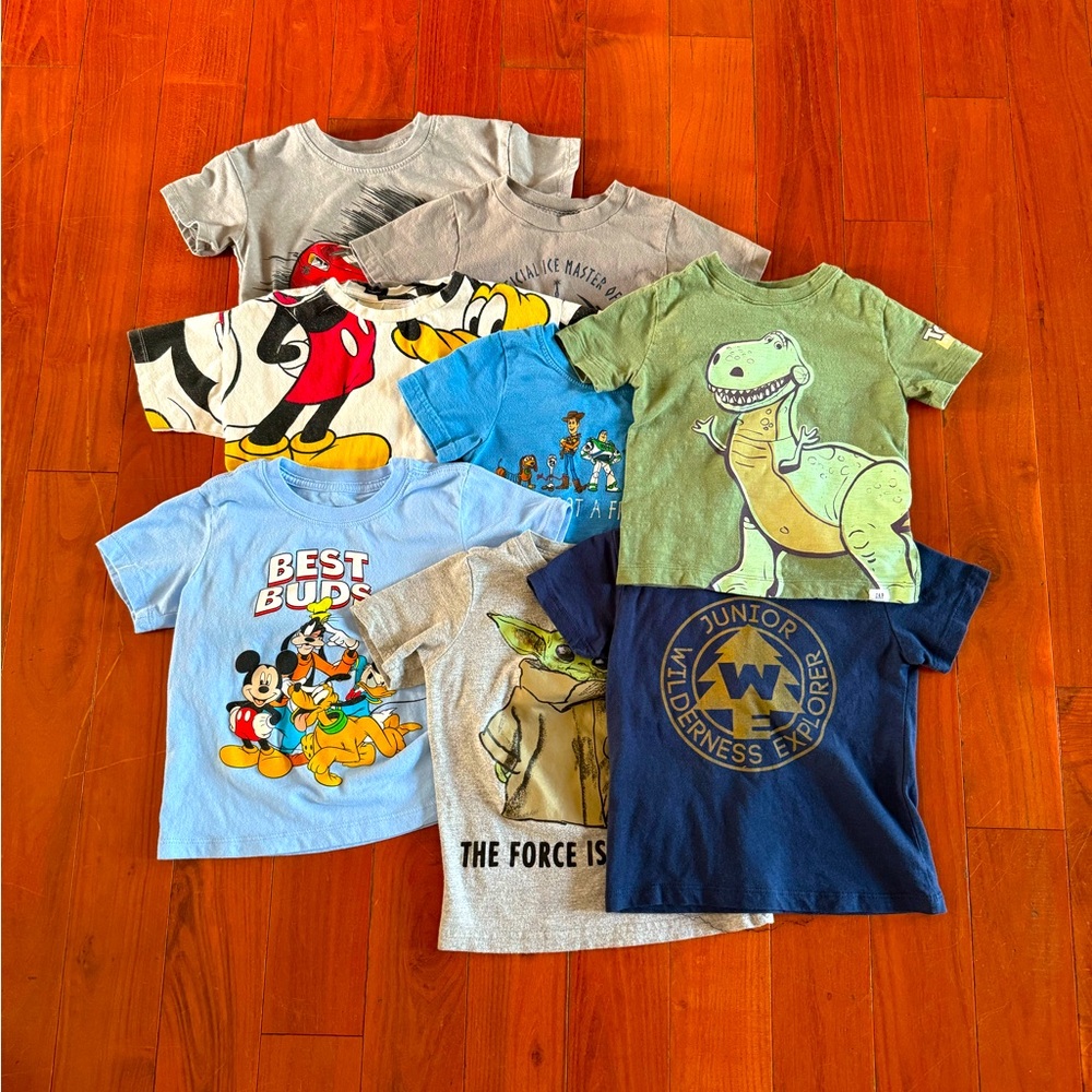 Disney Lot